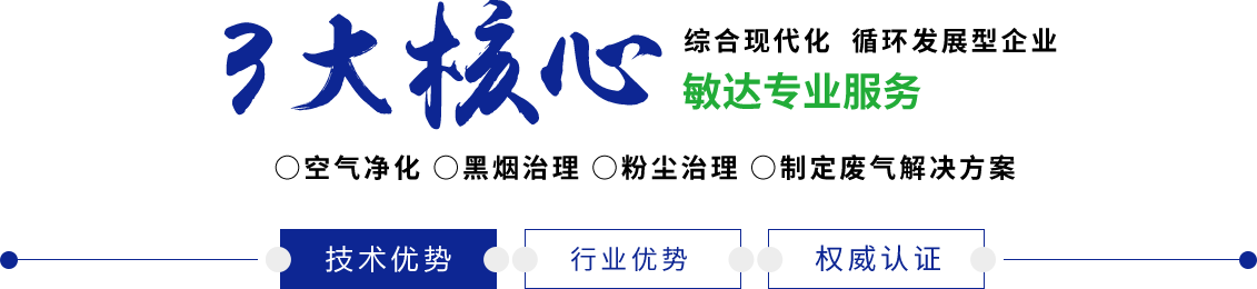 日逼啊啊啊敏达环保科技（嘉兴）有限公司